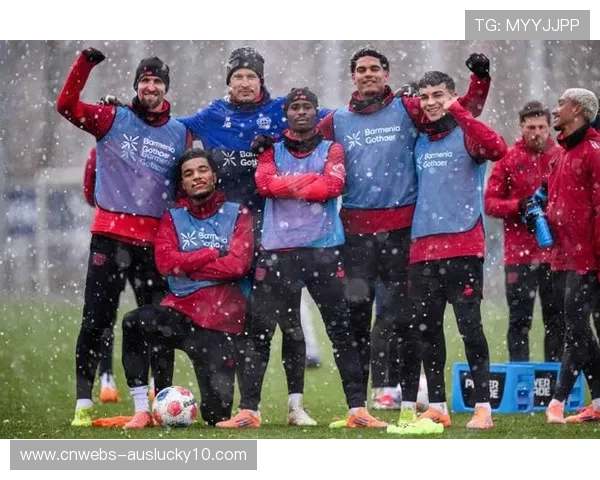 积雪天气影响训练,德甲俱乐部共享设施应对 积雪天气影响训练,德甲俱乐部共享设施应对